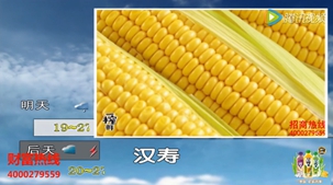 跟随一榨鲜五谷饮料一起来关注天气
