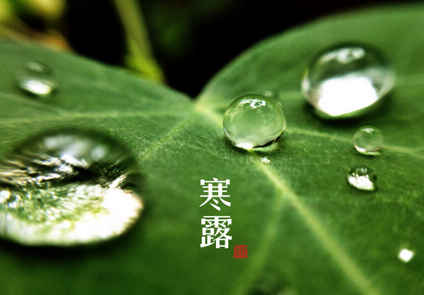 今日寒露：健康饮食，让你更健康!