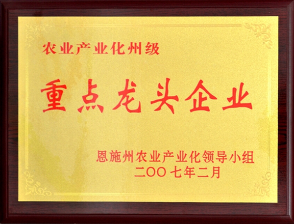 2007年恩施州重点龙头企业