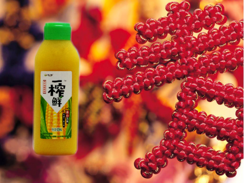 最强的中国粗粮饮料