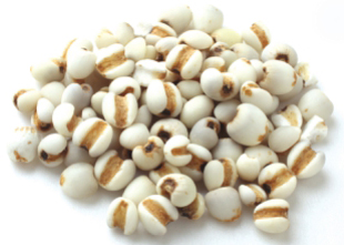 谷物饮料：五谷杂粮营养介绍——薏仁